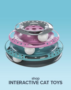 Interactive Cat Toys